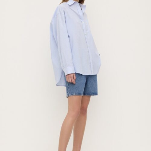 Avoca Stripe Shirt