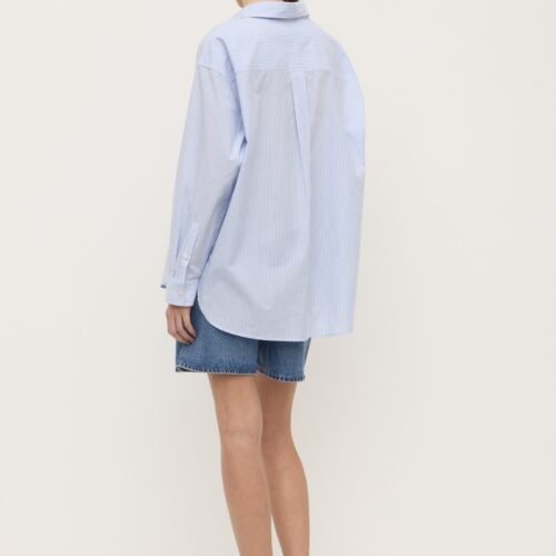 Avoca Stripe Shirt
