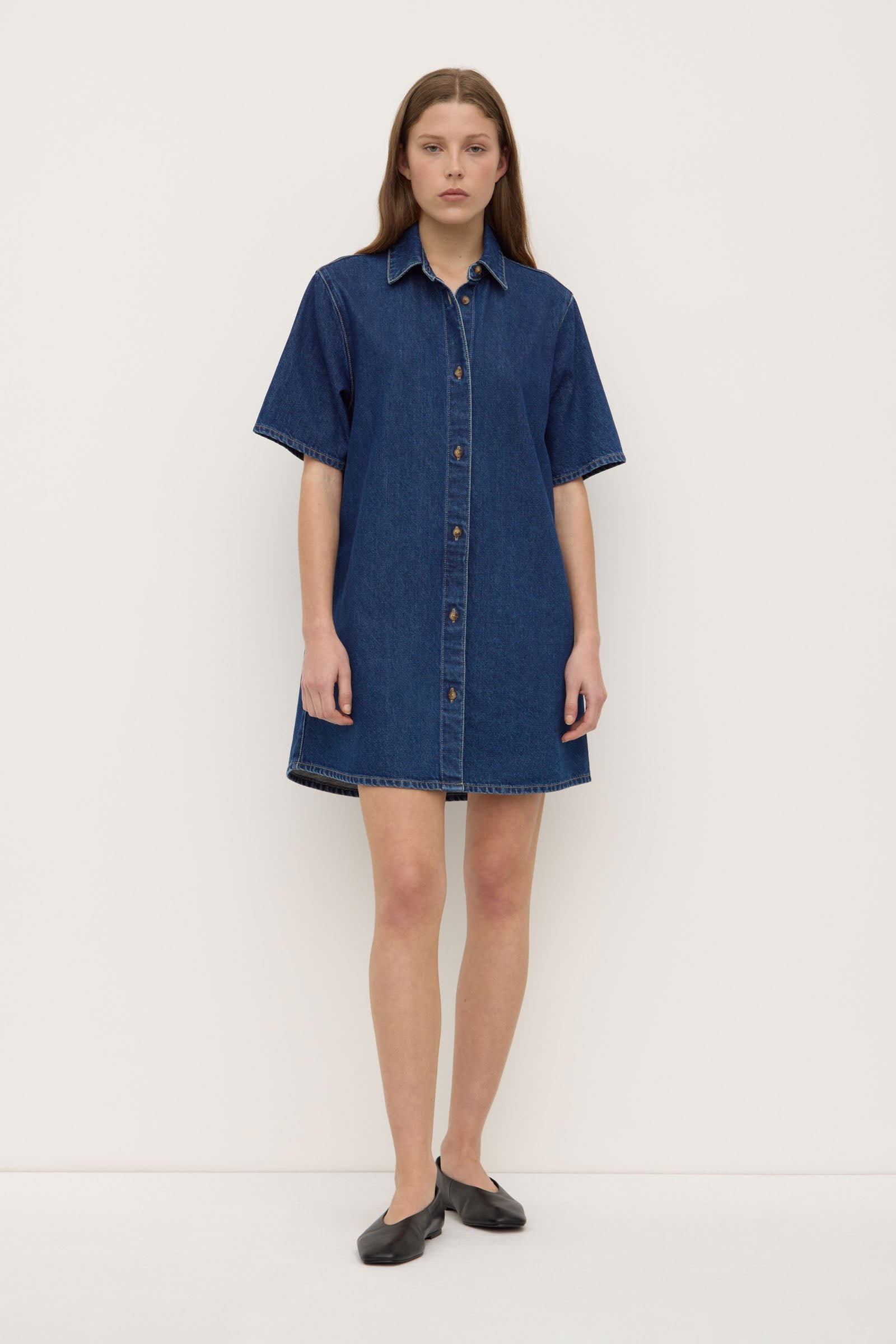 Neera Denim Mini Shirt Dress
